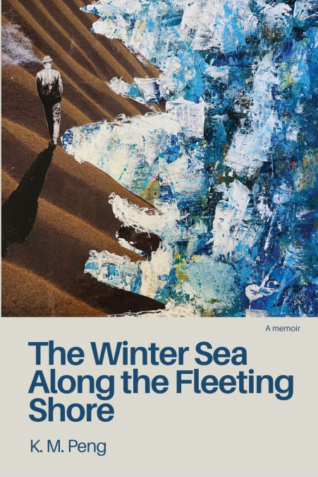 THE WINTER SEA ALONG THE FLEETING SHORE