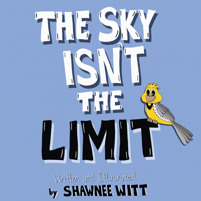 THE SKY ISN?T THE LIMIT