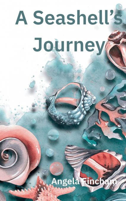 A SEASHELL?S JOURNEY
