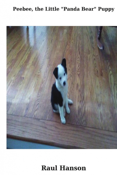 PEEBEE, THE LITTLE 'PANDA BEAR' PUPPY
