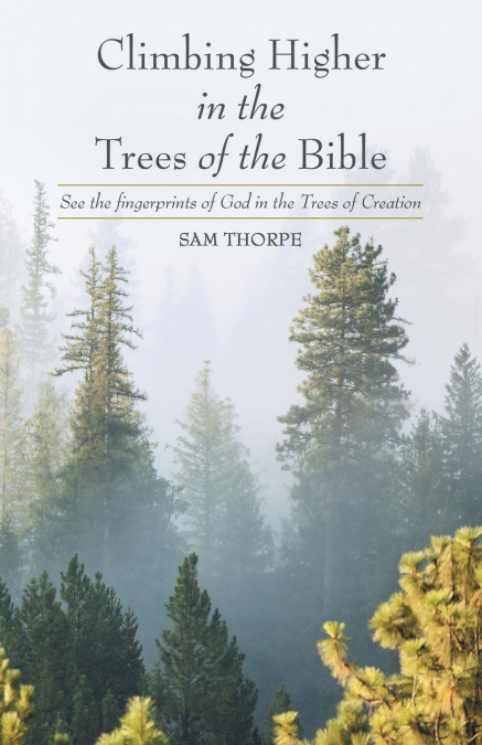 CLIMBING HIGHER IN THE TREES OF THE BIBLE