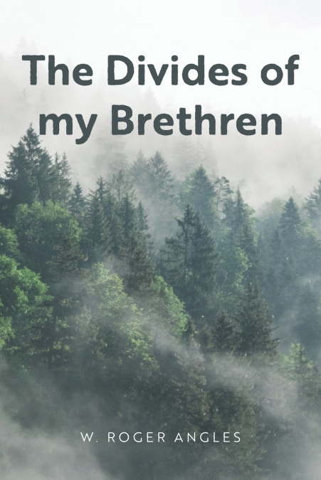 THE DIVIDES OF MY BRETHREN
