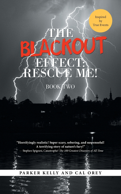 THE BLACKOUT EFFECT