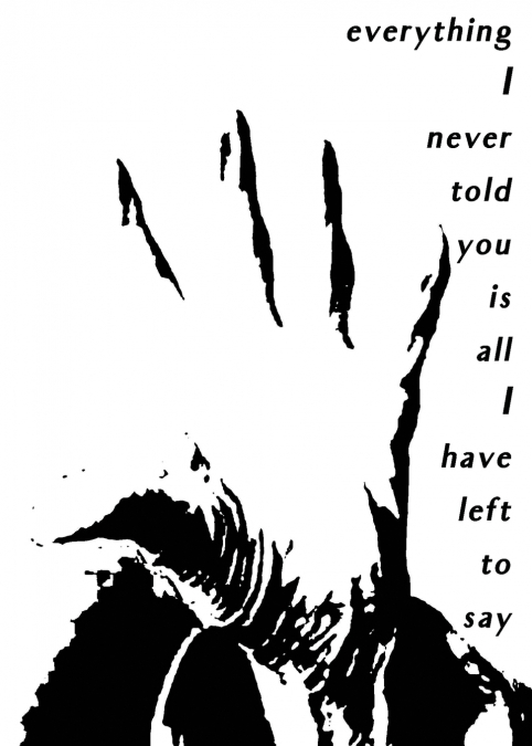 EVERYTHING I NEVER TOLD YOU IS ALL I HAVE LEFT TO SAY