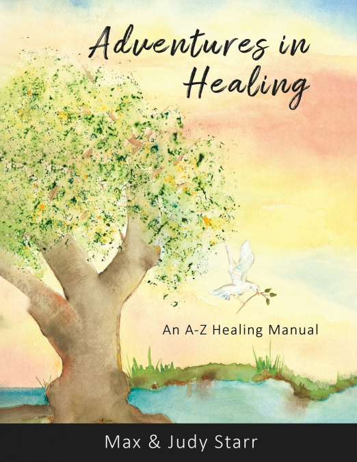 ADVENTURES IN HEALING