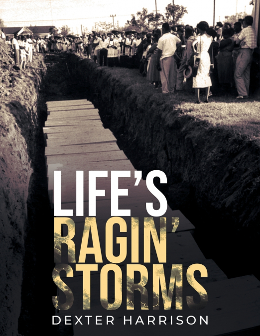 LIFE?S RAGIN? STORMS
