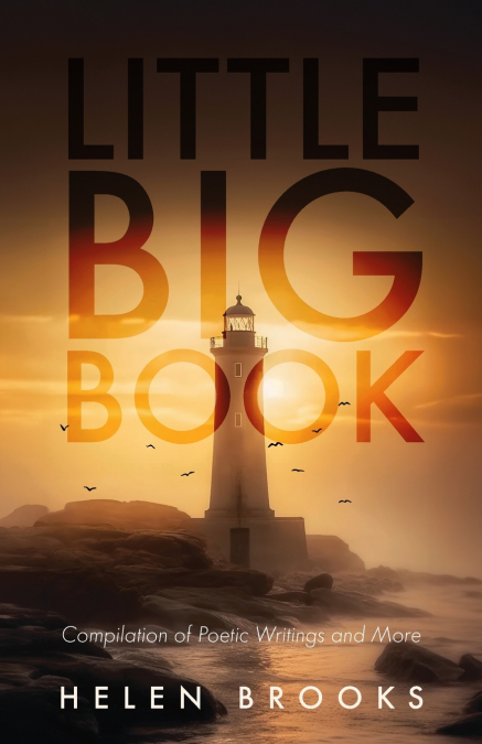 LITTLE BIG BOOK