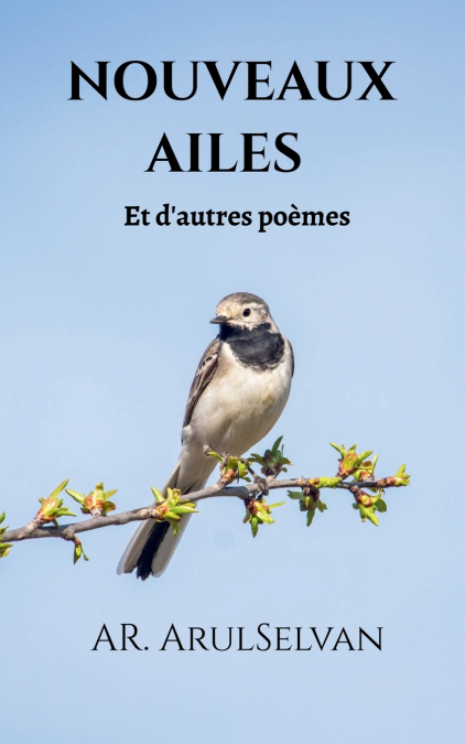 NOUVEAUX AILES