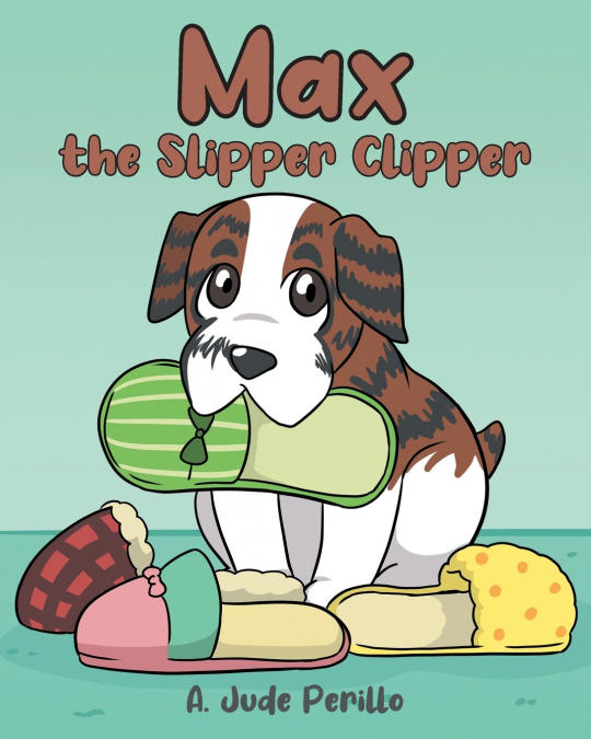 MAX THE SLIPPER CLIPPER