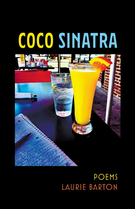 NORTHSTAR READING AND WRITING 3 SB INTERNATIONAL EDITION