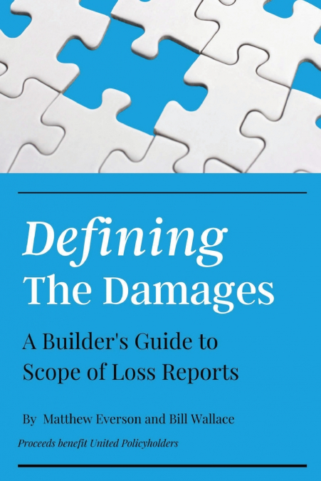 DEFINING THE DAMAGES