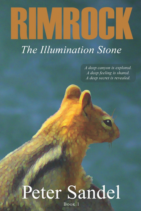 THE ILLUMINATION STONE