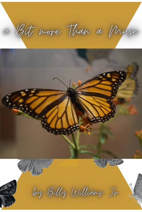 A BIT MORE THAN A MUSE