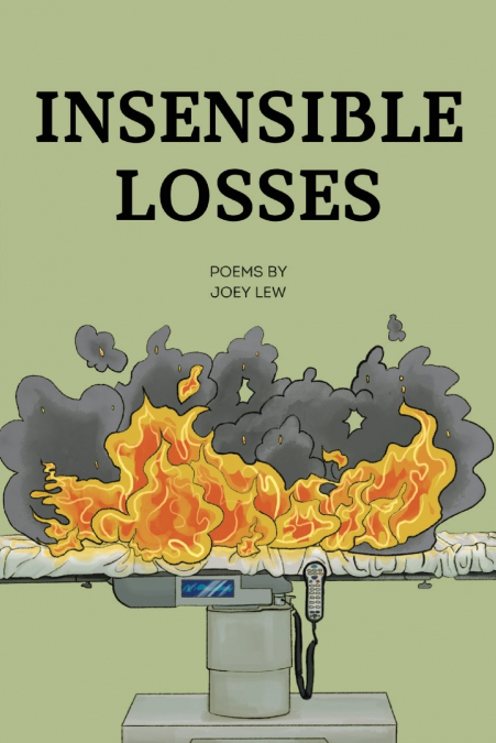 INSENSIBLE LOSSES
