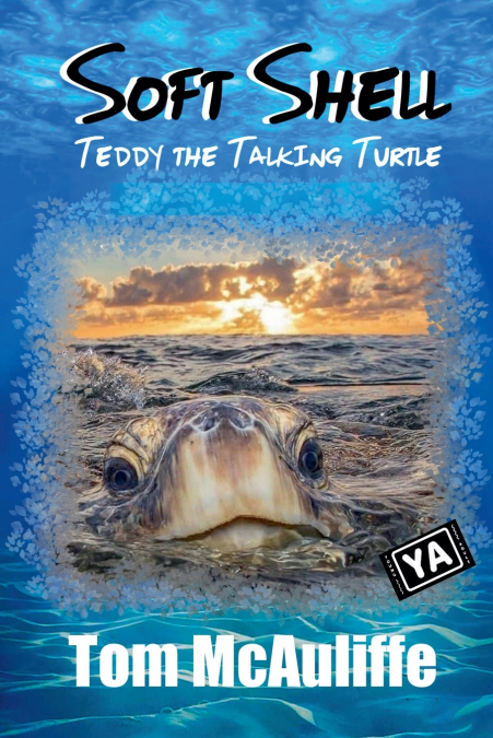 SOFT SHELL - TEDDY THE TALKING TURTLE
