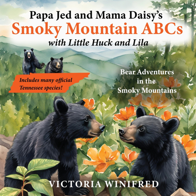 SMOKY MOUNTAIN ABCS