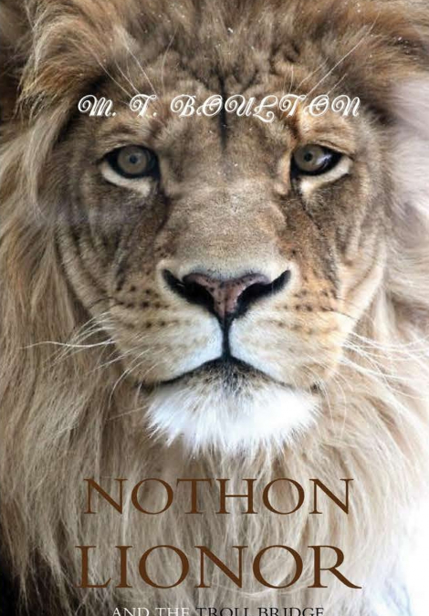 A Song of Dreams and Dragons Book 4