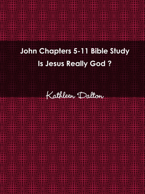 John Chapters 5-11 Bible Study   Is Jesus Really God?