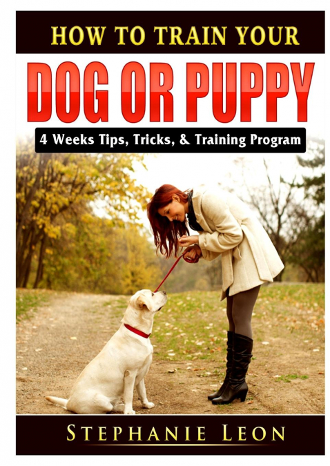 How to Train Your Dog or Puppy