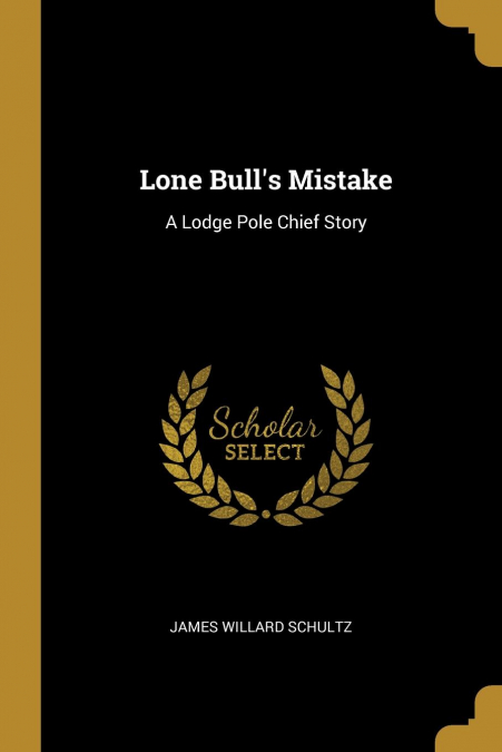 Lone Bull's Mistake