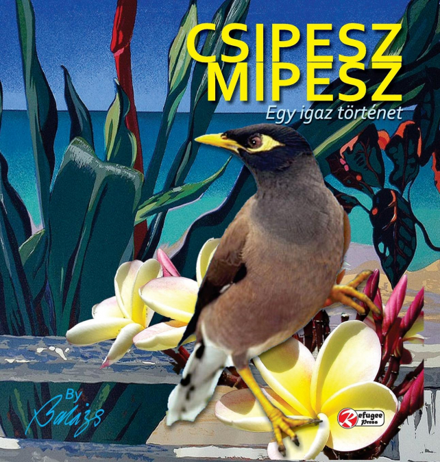 CSIPESZ MIPESZ