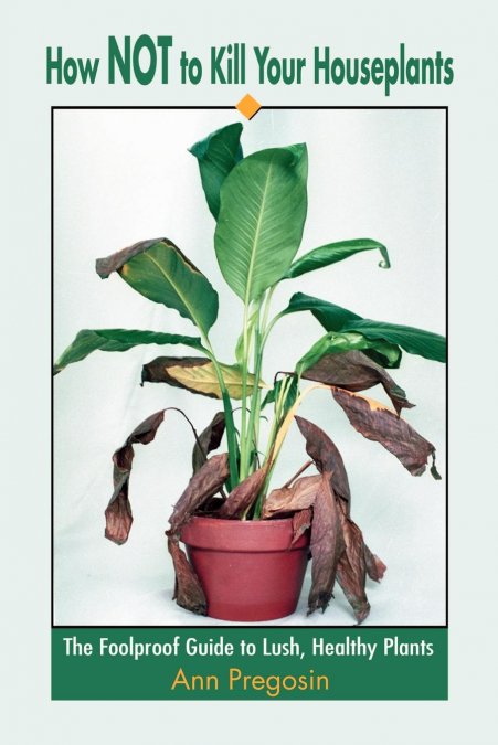 How Not to Kill Your Houseplants