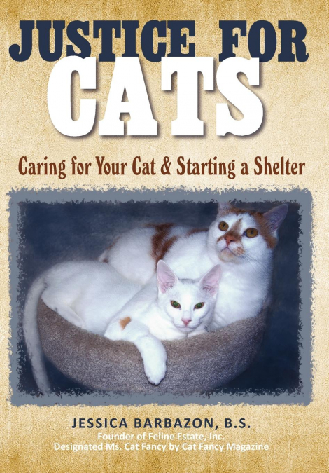 Justice For Cats