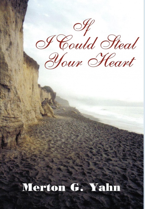 If I Could Steal Your Heart