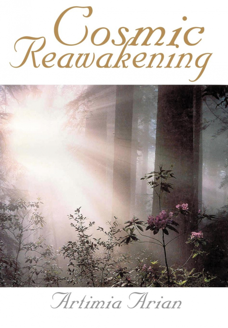 Cosmic Reawakening