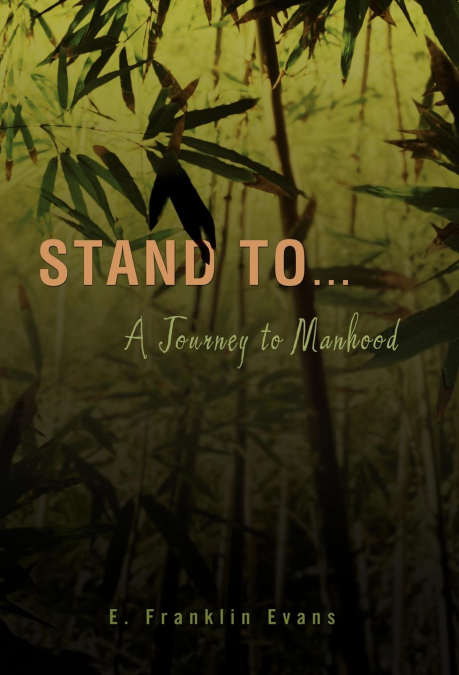 Stand to ...