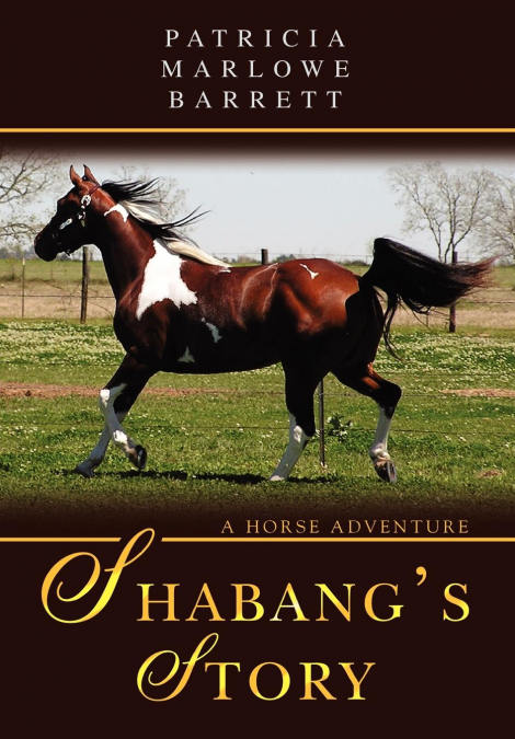 Shabang’s Story