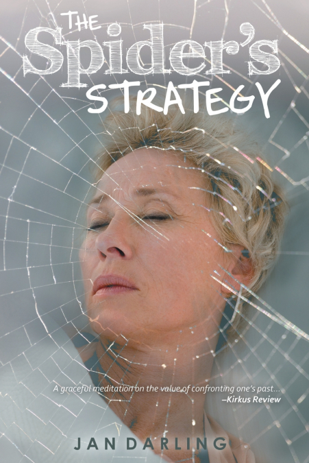 The Spider’s Strategy