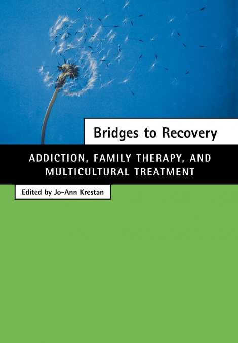 Bridges to Recovery