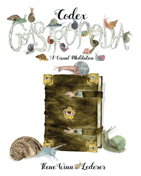 Codex Gastropoda