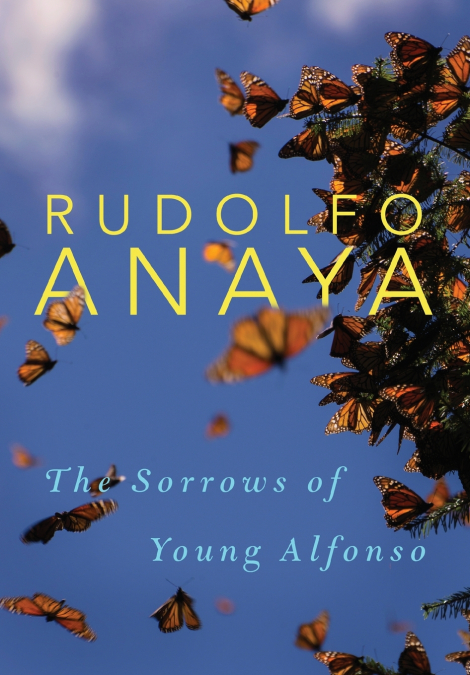The Sorrows of Young Alfonso