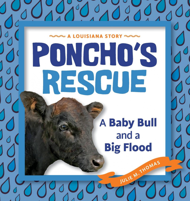 Poncho’s Rescue