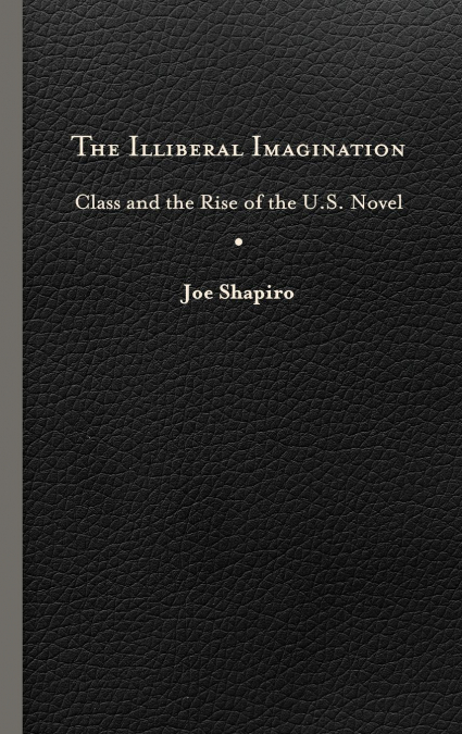 Illiberal Imagination