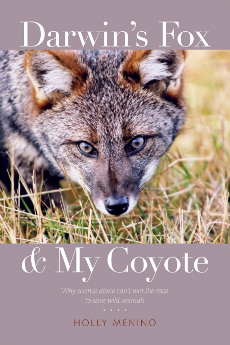 Darwin’s Fox and My Coyote