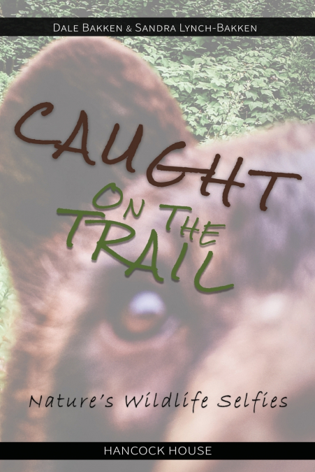 Caught on the Trail
