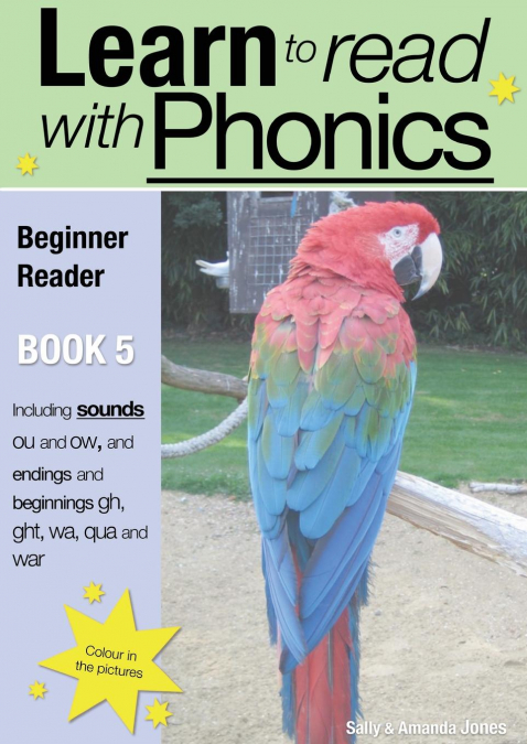 Learn to Read Rapidly with Phonics