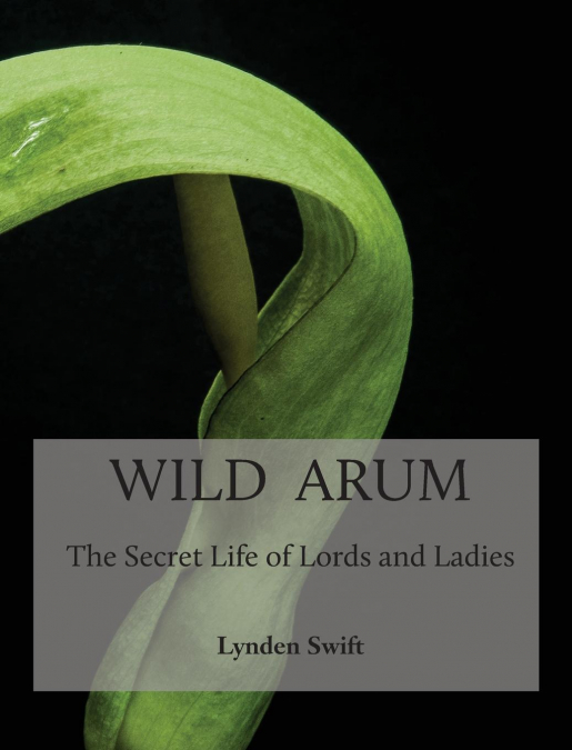 Wild Arum
