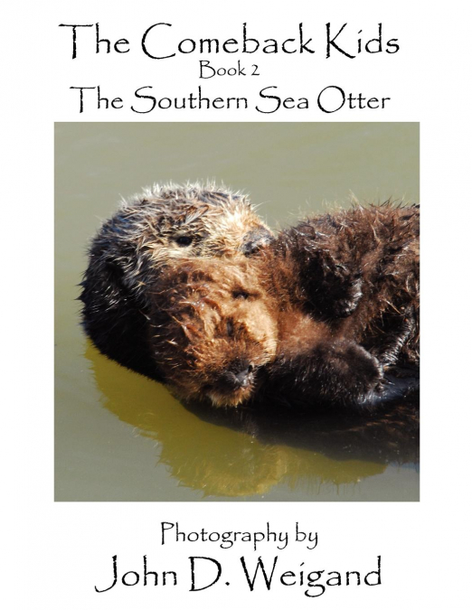 'The Comeback Kids' Book 2, The Southern Sea Otter