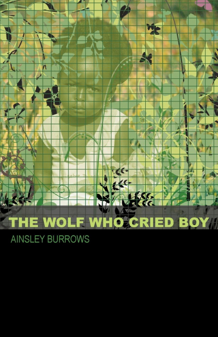 The Wolf Who Cried Boy