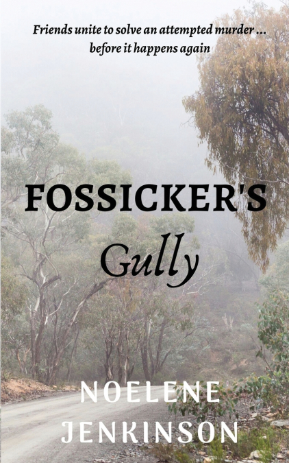 Fossicker’s Gully