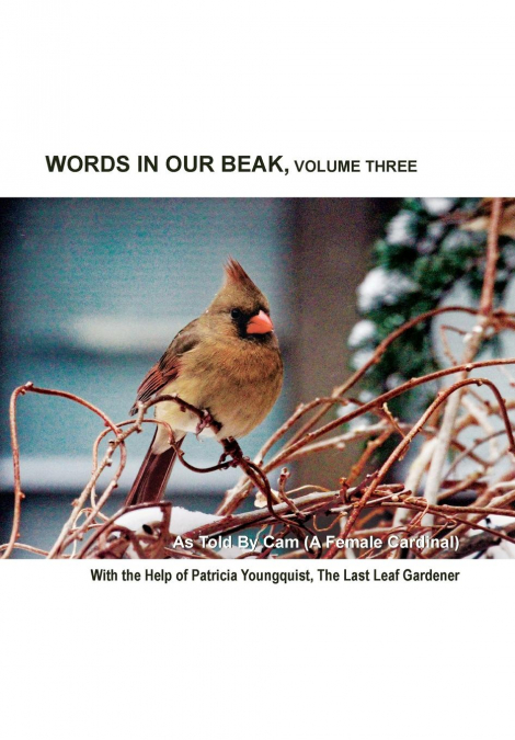 Words In Our Beak, Volume Three