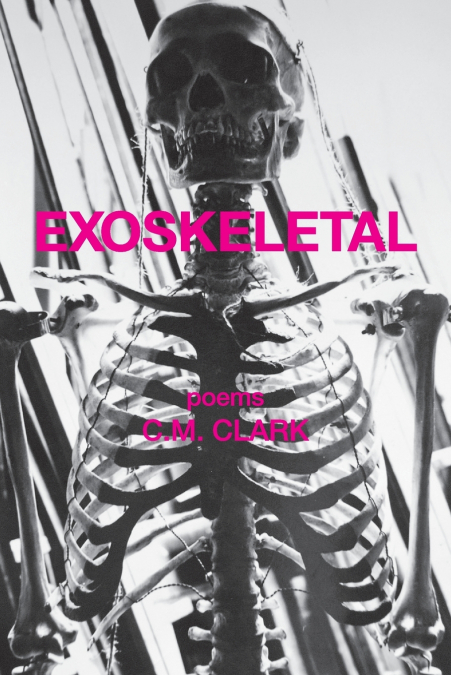 Exoskeletal