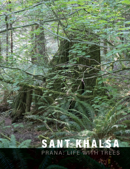 Sant Khalsa