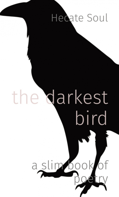 the darkest bird
