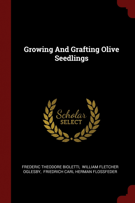 Growing And Grafting Olive Seedlings