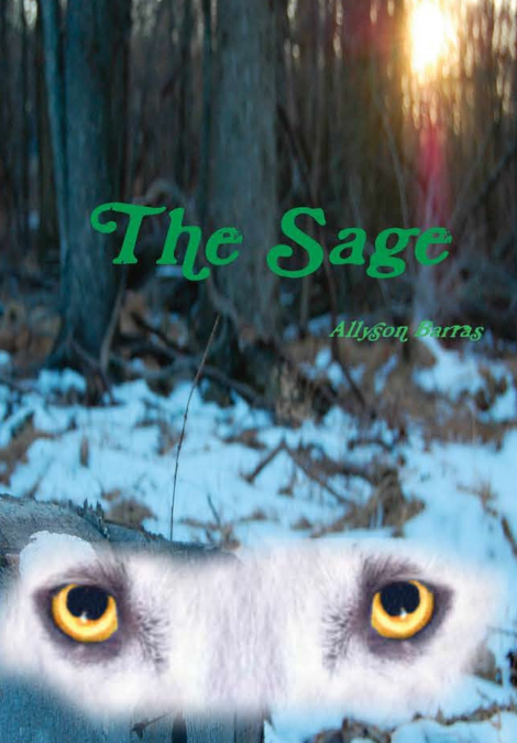 The Sage